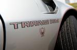 Pontiac Firebird Trans Am 6.6 L80 10th Anniversary Edition 1979 года